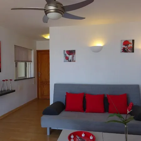 Cristianos Floor Horizon